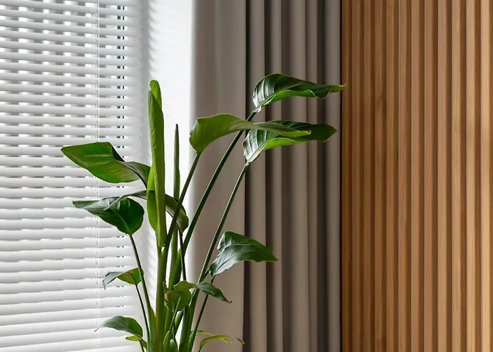 D33 - Brand New Luxury With Terrace, Garden, Ac And Parking *