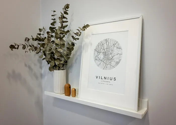 D33 - Brand New Luxury With Terrace, Garden, Ac And Parking * Vilnius